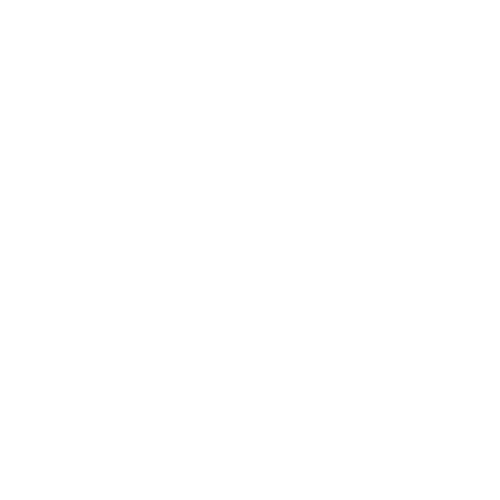 Rudeboys